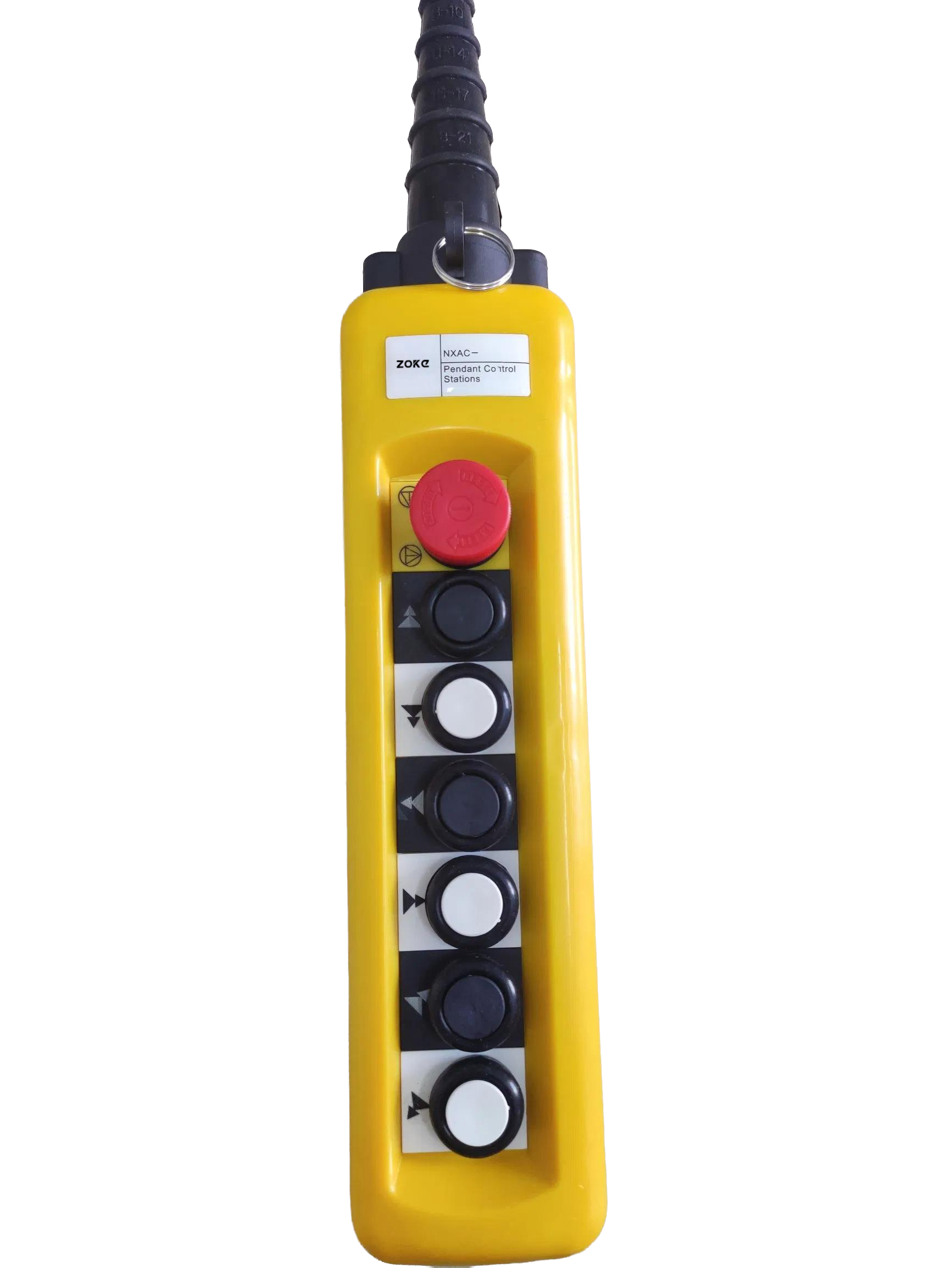 FEM overhead crane pendant and wireless remote control modes