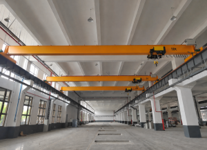 FEM Standard Overhead Crane